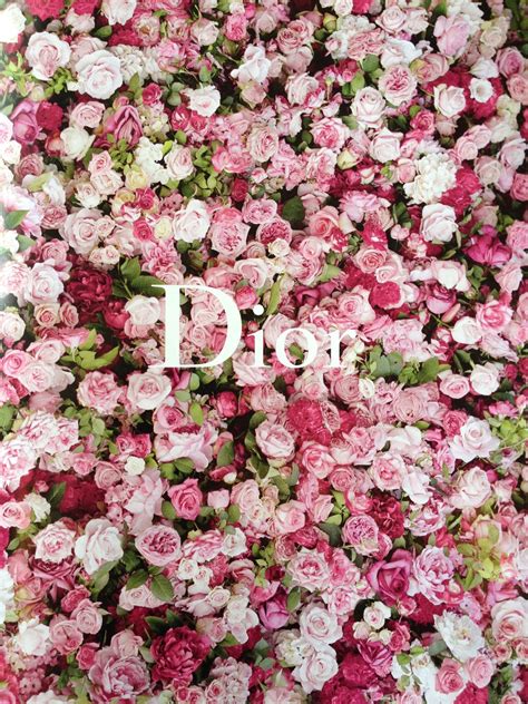 dior cosmic pink|Dior pink flower.